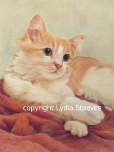 Ruffles CP Online Class